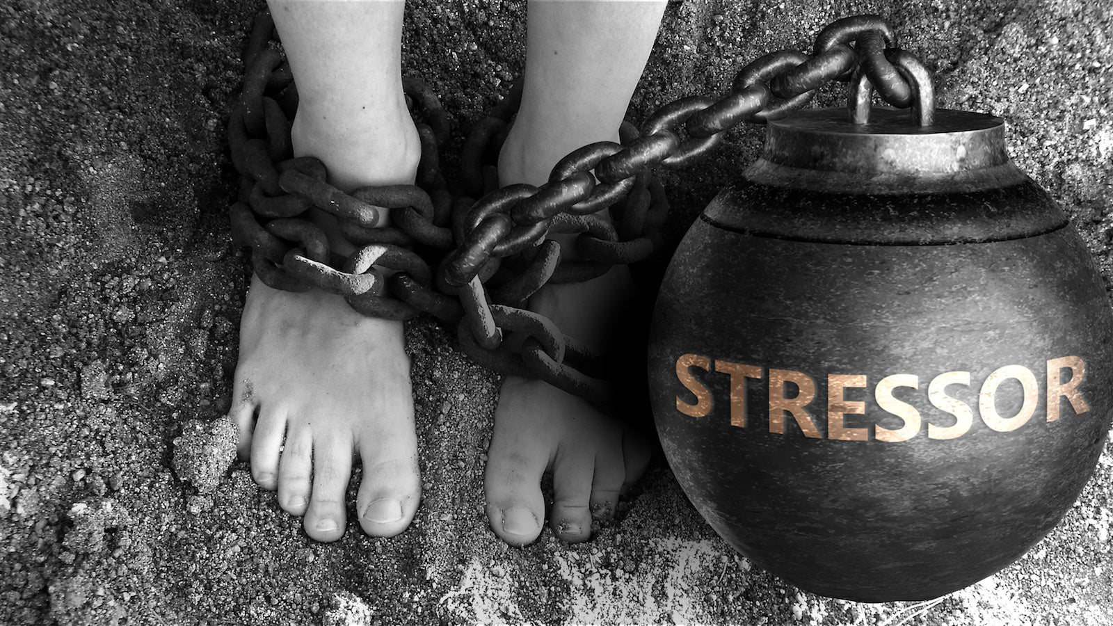Befrei Dich von Deiner Stress-Fessel. So setzt Du Deinen ersten Schritt in die Freiheit…