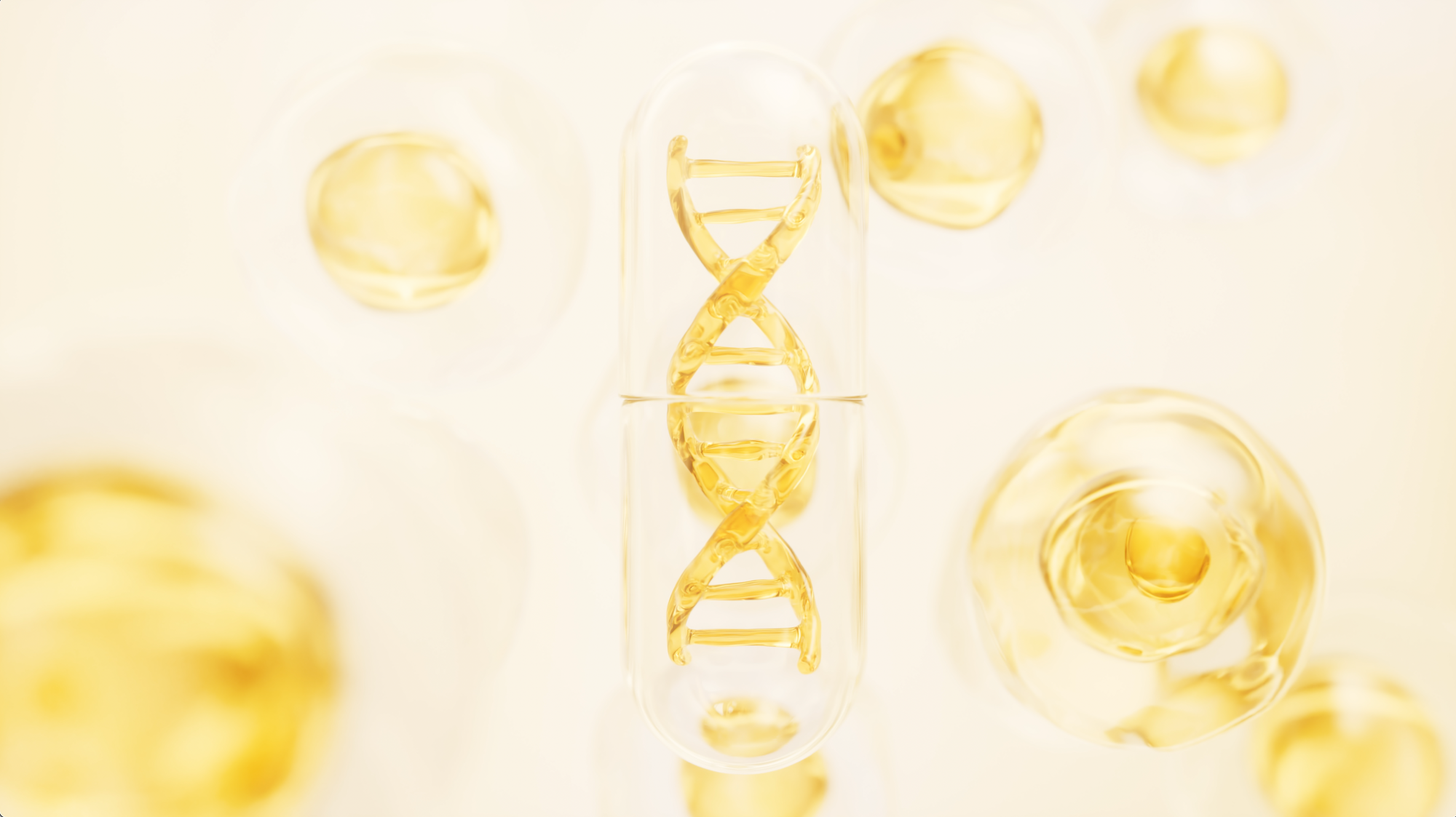 HIGH HEAL Longevity Systeme für Zellgesundheit Energie Self Leadership Logo